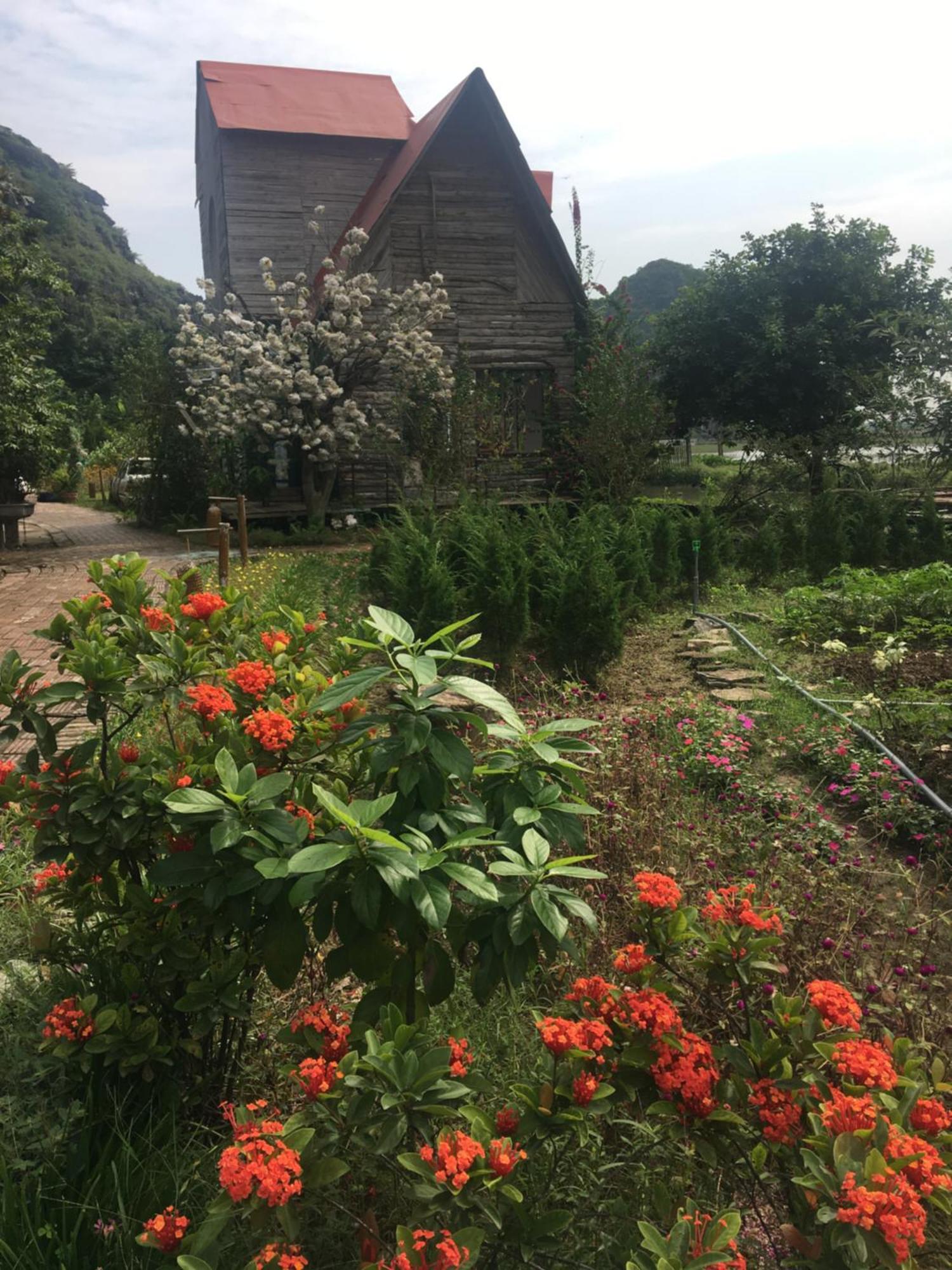 מלון נין בין Trang An Secret Garden מראה חיצוני תמונה